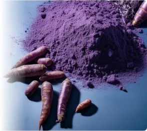 Purple Carrot Powder